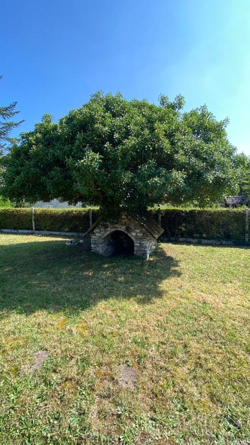 La Nebuleuse Villa Notre-Dame-de-l'Isle Luaran gambar